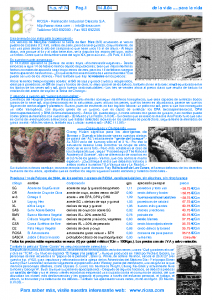 RIOSA Newsletter 2004-02-14