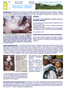 RIOSA Newsletter 2005-11-01