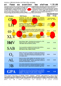 Bulletin RIOSA 2000-11-01