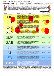 Bulletin RIOSA 2000-12-01