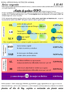 Bulletin RIOSA 2001-02-01