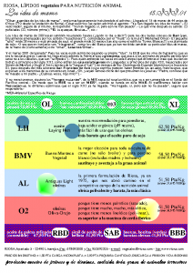 Bulletin RIOSA 2001-03-15