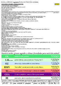 Bulletin RIOSA 2001-07-01