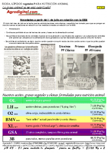 Lettre d'information RIOSA 2001-07-16