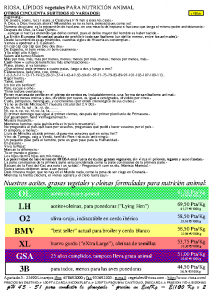 Boletim RIOSA 2001-08-01