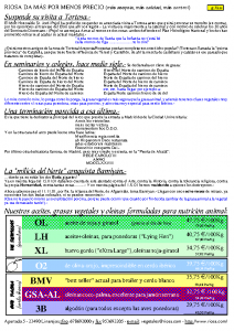 Boletim RIOSA 2001-11-15