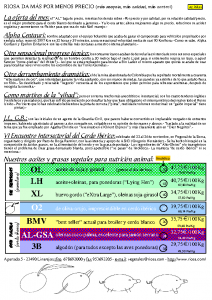 Boletim RIOSA 2001-12-02