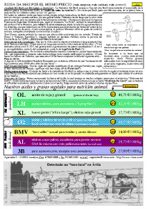Newsletter RIOSA 2002-02-01