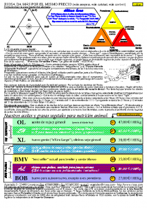 RIOSA Newsletter 2002-03-01