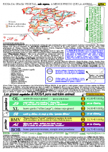 Boletim Informativo RIOSA 2002-04-15