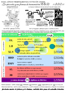 RIOSA-Newsletter 2001-03-01