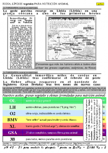 RIOSA-Newsletter 15.09.2001