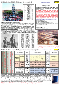 RIOSA Newsletter 2003-09-01